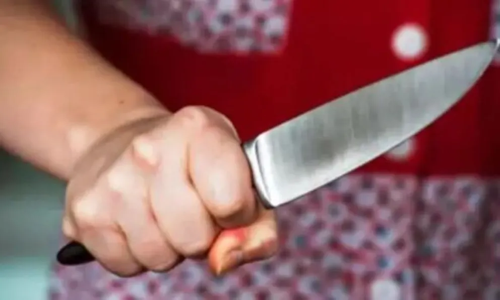 Seis meses de prisión para la mujer fugada que asaltó a una comerciante