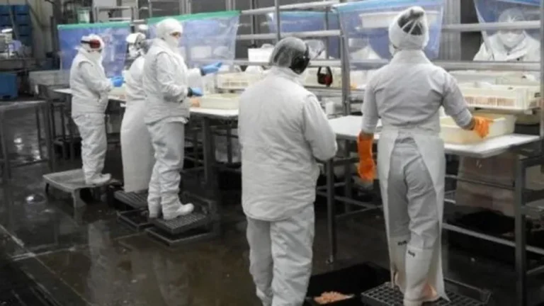 Profand manifestó su consternación por el fin del acuerdo de Alpesca en Chubut