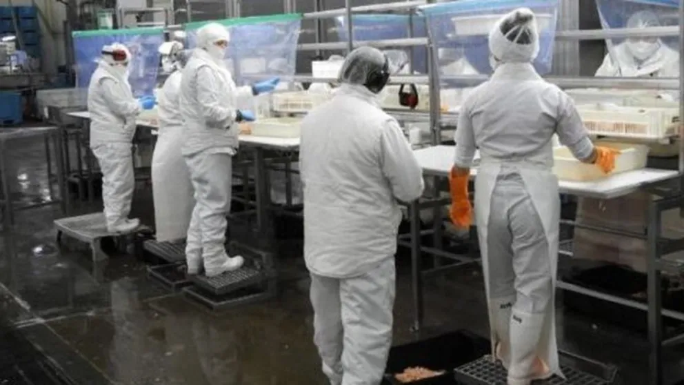 Profand manifestó su consternación por el fin del acuerdo de Alpesca en Chubut