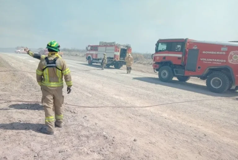 Más de 1.000 hectáreas afectadas por los incendios en Trelew