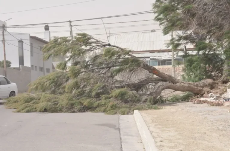 Comodoro: Disminuye el viento y mejora el pronóstico para los próximos días