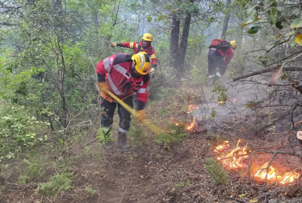 Logran contener el incendio forestal en El Pedregoso