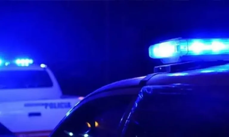 Un conductor fue imputado por usar una licencia falsa