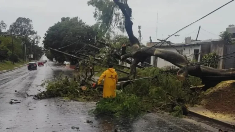 Dos tornados arrasaron Misiones y el sur de Brasil: hay cinco muertos y más de cien heridos