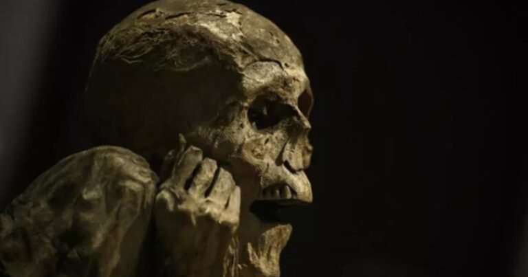 París exhibe nueve momias y reabre la discusión ética sobre mostrar restos humanos en museos