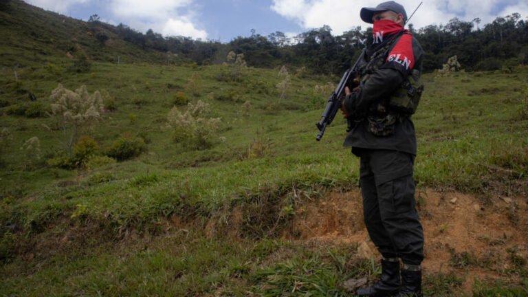 Desplazados en Navidad: 250 campesinos huyen en Colombia de choques entre el ELN y disidencias FARC