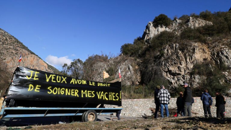 Epidemia bovina en Francia: autoridades francesas bajo presión de los agricultores del suroeste