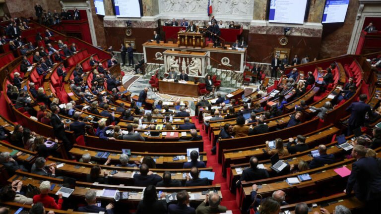 Presupuesto 2026: la Asamblea adopta ley especial para garantizar la financiación pública