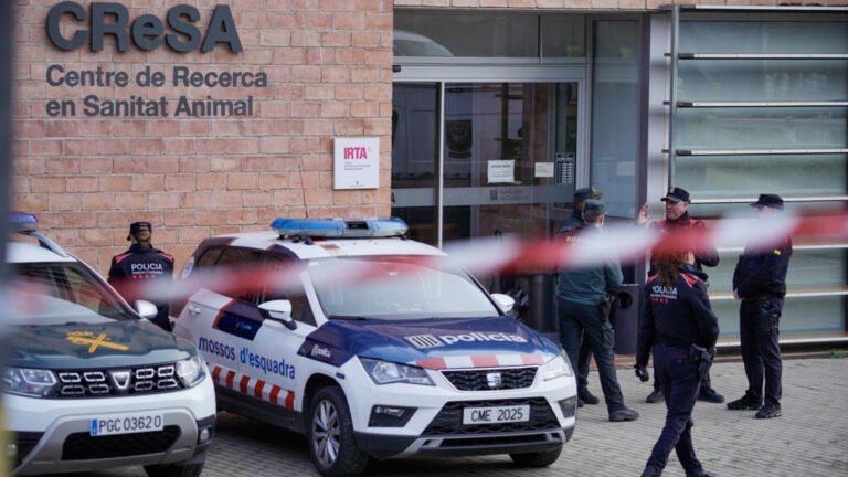 Análisis del gobierno catalán apuntan que el virus de la peste porcina africana no escapó de un laboratorio