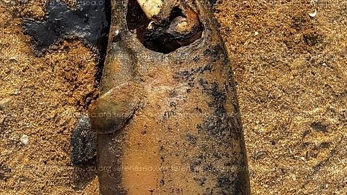 La guerra en Ucrania causa muertes de defines en el mar Negro