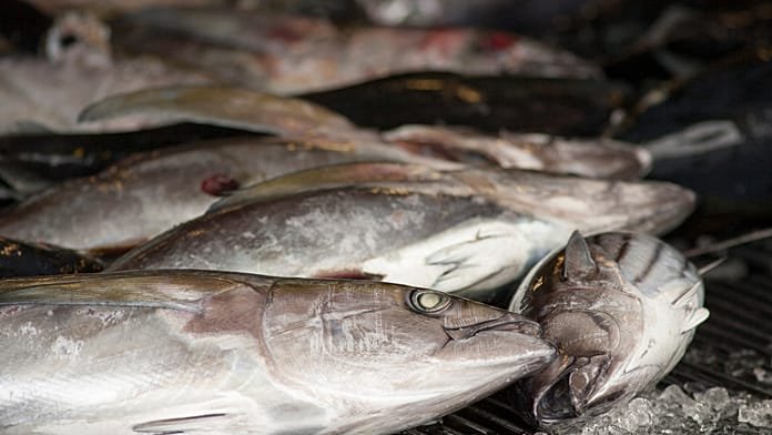 La UE acuerda las cuotas de pesca para 2026 tras intensas negociaciones y España esquiva el recorte