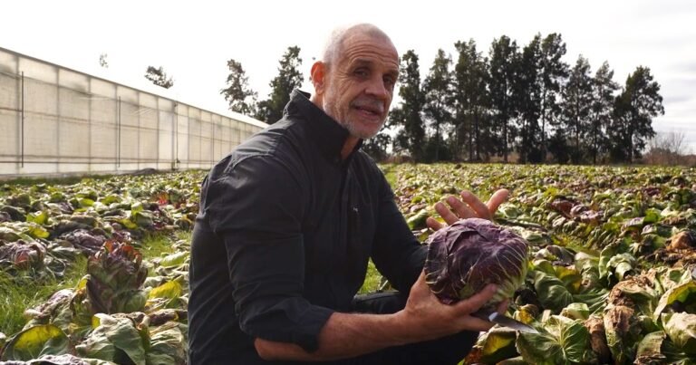 Falla multiorgánica: qué significa y por qué es grave el cuadro que padece Christian Petersen