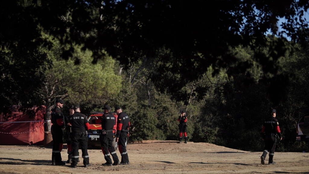 Investigarán a cinco laboratorios por la posible fuga del virus de la peste porcina en España
