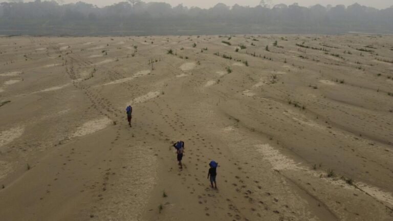 Crisis hídrica mundial: 2.000 millones de personas viven sin agua potable