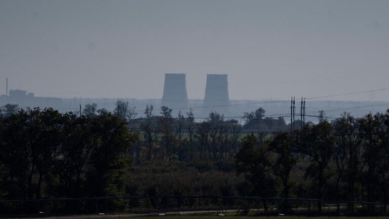 Corte de electricidad nocturno afecta a la central nuclear de Zaporizhia, informa el OIEA