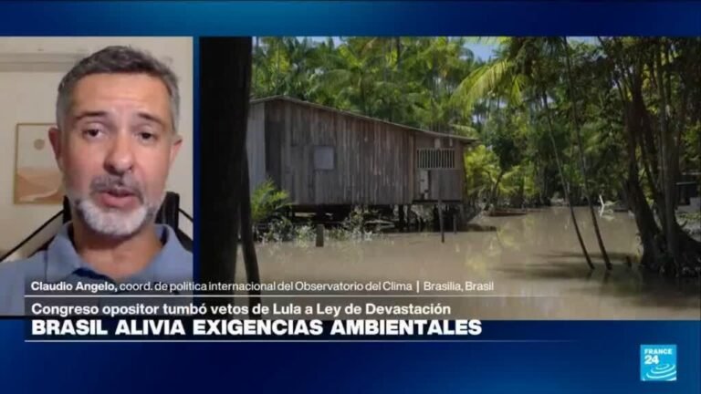 Claudio Angelo: "Casi cualquier obra se va poder hacer en Brasil sin licencias ambientales"