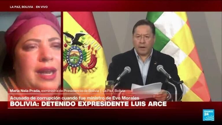 Maria Nela Prada: 'A Arce lo detuvieron sin ninguna notificación previa'