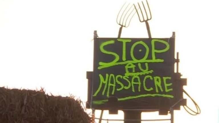 Agricultores protestan en Francia por sacrificio de vacas ante brote sanitario