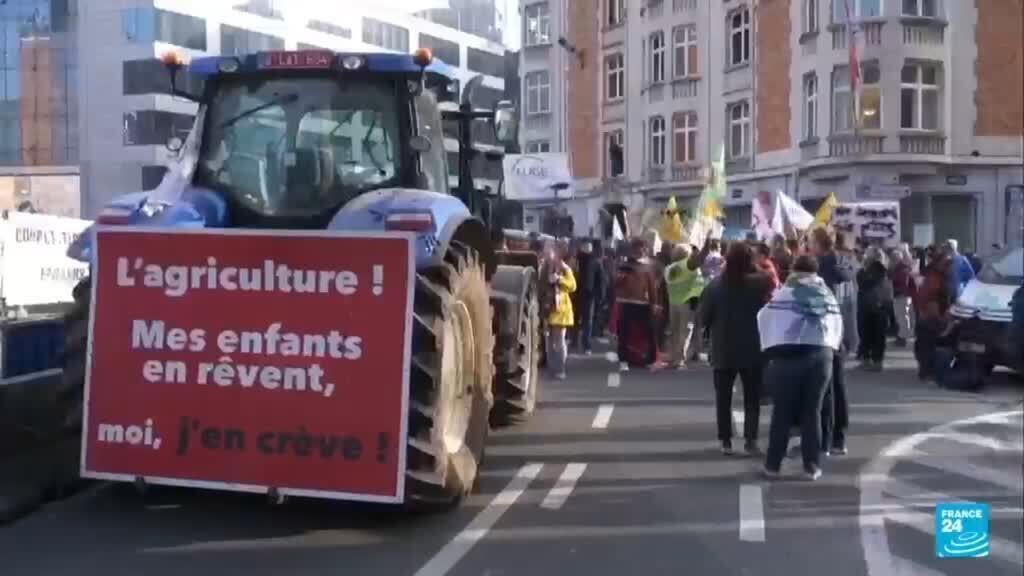 Agricultores se oponen a implementación de acuerdo UE - Mercosur