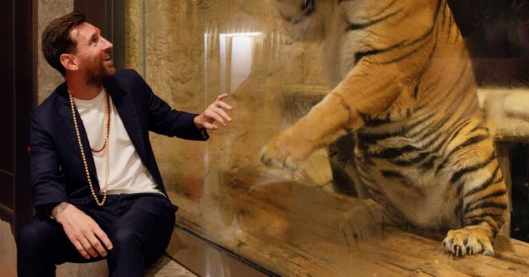 La impactante foto de Messi en su despedida de la India: como un turista más, visitó un centro de conservación animal