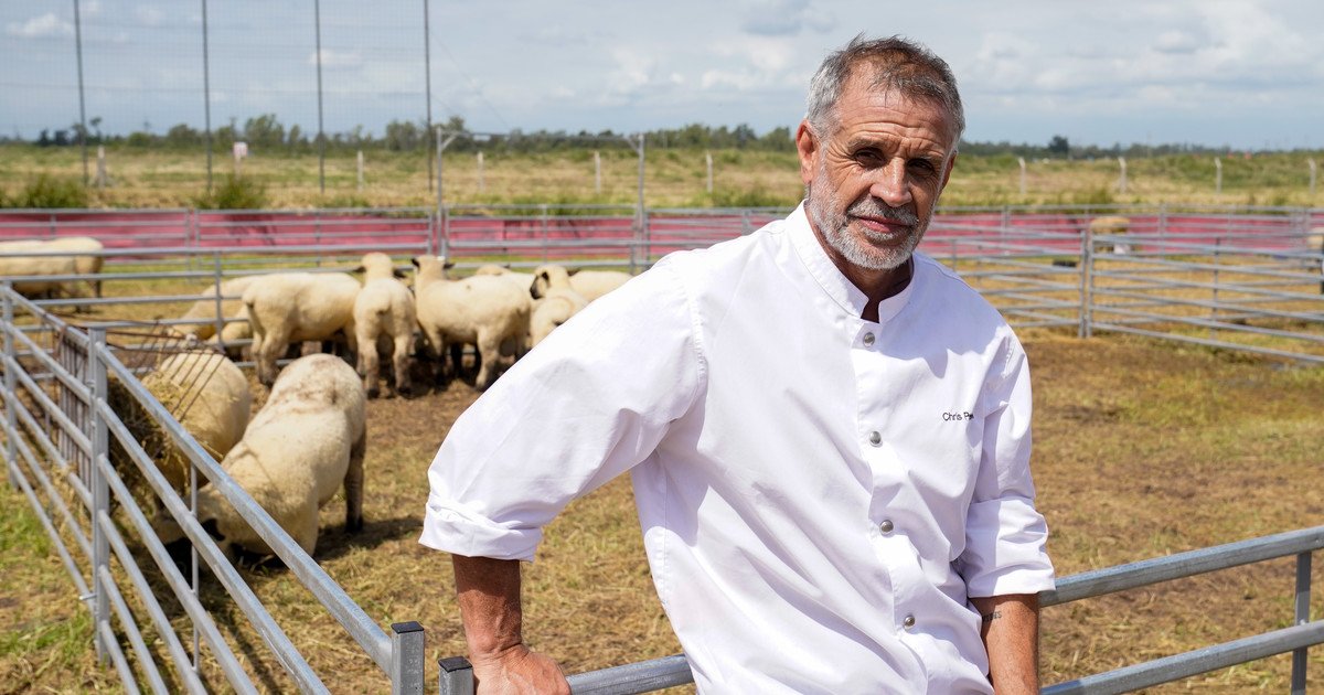 La salud del chef Christian Petersen: qué dice el primer informe oficial