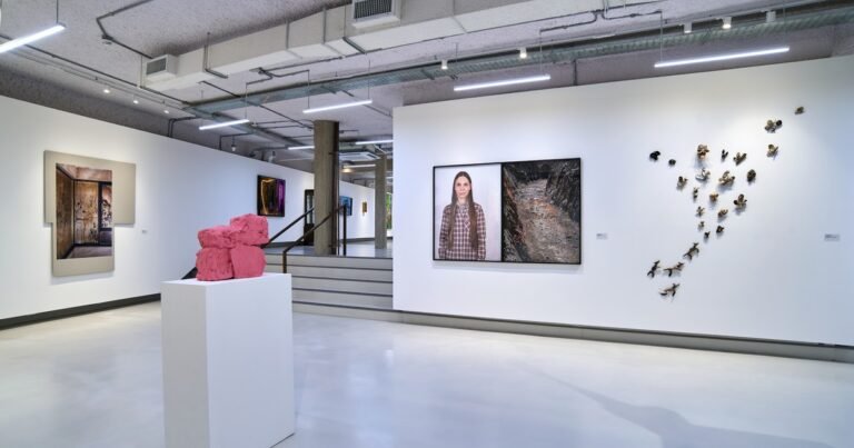 Humor, distancia crítica y cuerpos descentrados en el 28° Premio Klemm