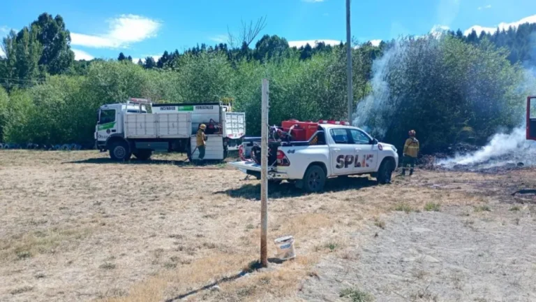 Extinguieron un incendio en la costa del río Quemquemtreu