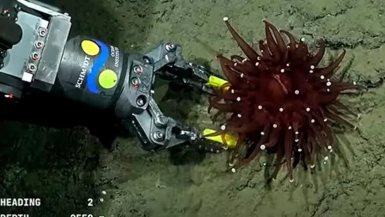 Inició la nueva transmisión del CONICET desde lo profundo