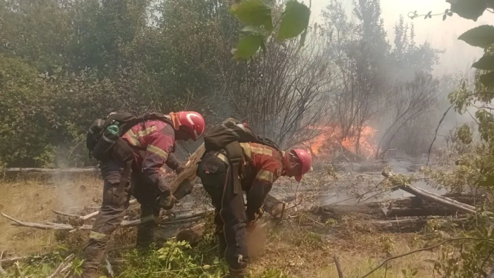 El incendio forestal en la zona de El Trubio fue contenido 
