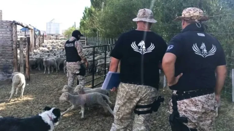 Secuestro de armas, dinero y más de mil ovinos por delitos rurales