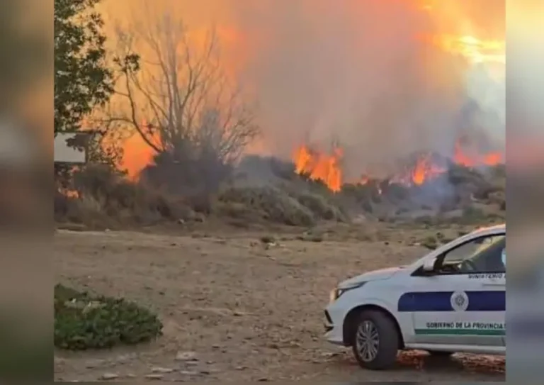 Incendio de pastizales a metros del Centro Agroecológico de Rada Tilly