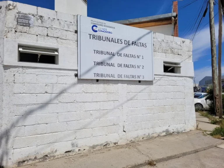 Crecen las multas por utilizar el celular al volante en Comodoro