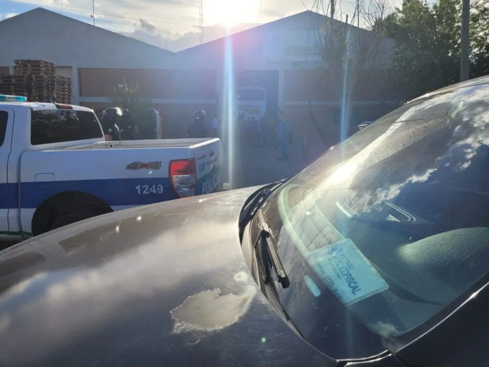 Operativo en Trelew: allanan transportista por tráfico de carne de guanaco