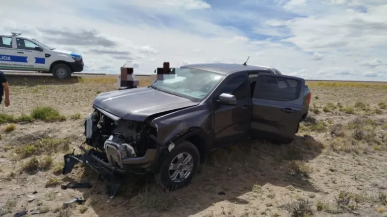 Accidente en Ruta Nacional 3: una camioneta impactó contra un guanaco, pero no se registraron heridos
