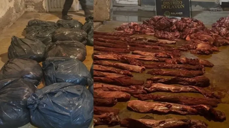 Cayó en Dolavon con más de 500 kilos de carne de guanaco y tenía pedido de captura