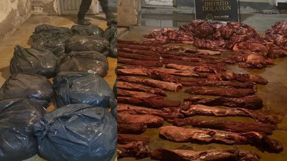 Cayó en Dolavon con más de 500 kilos de carne de guanaco y tenía pedido de captura