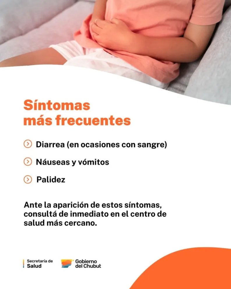 Chubut refuerza las acciones de prevención del Síndrome Urémico Hemolítico