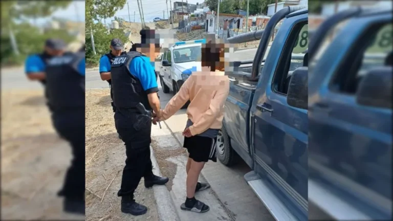 Operativo en Comodoro: intentó escapar en una Ford F-100 y terminó detenida
