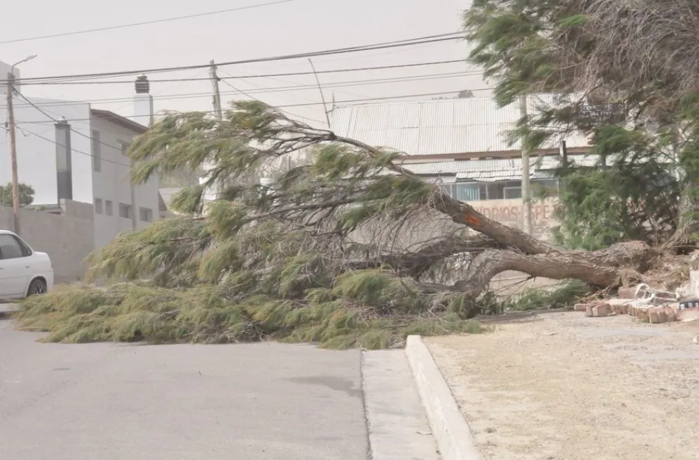 Emiten alerta amarilla por fuertes vientos para este martes en gran parte de Chubut