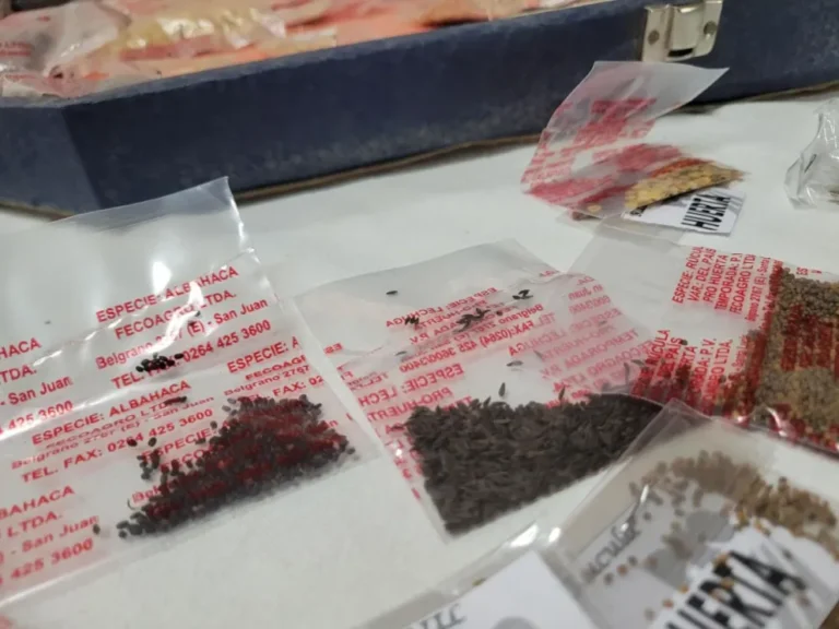 Desde el INTA destacaron el desarrollo de cultivos en la ciudad y la posibilidad de compartir saberes