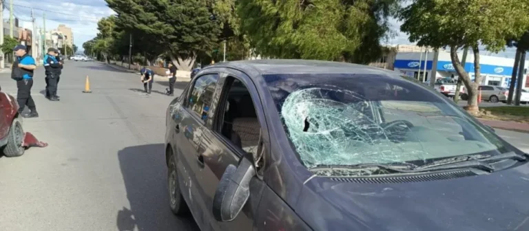 Falleció el anciano embestido frente a la Seccional Segunda