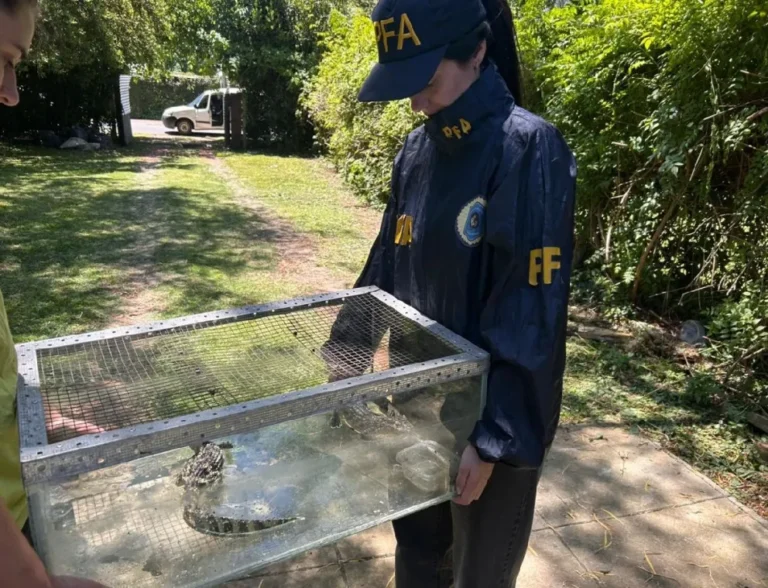 Detienen a un supuesto vidente que mantenía en cautiverio animales protegidos por ley