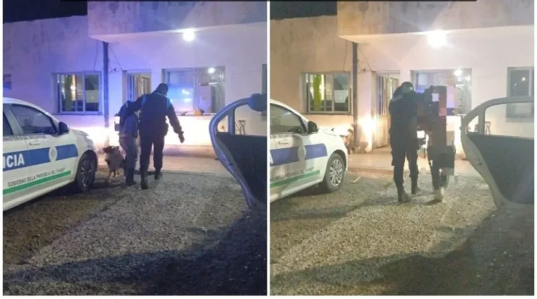 Aprehenden a dos hombres intentando robar en vivienda de barrio Las Flores
