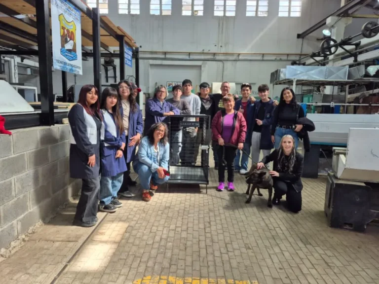 La Escuela 760 construyó una jaula de rescate para perros callejeros