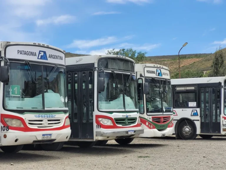 Choferes de colectivo exigen más protección y piden botones antipánico