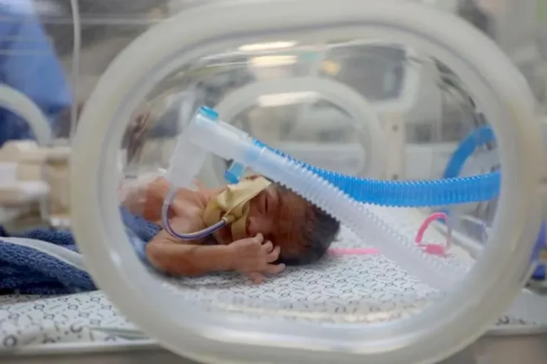 La OMS alerta sobre más de mil muertes en Gaza por falta de evacuación sanitaria