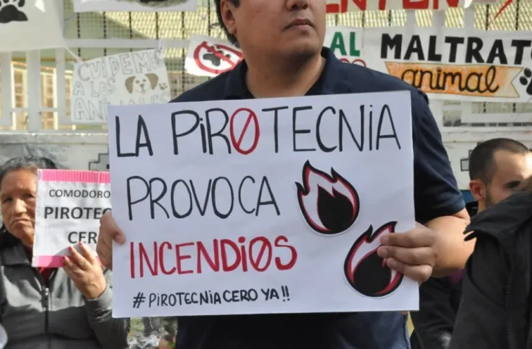 Padres TEA y vecinos con perros lastimados también piden "Pirotecnia Cero"