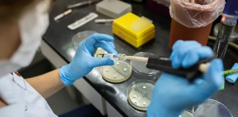 Recomendaciones oficiales tras los primeros casos de influenza A H3N2 en Argentina