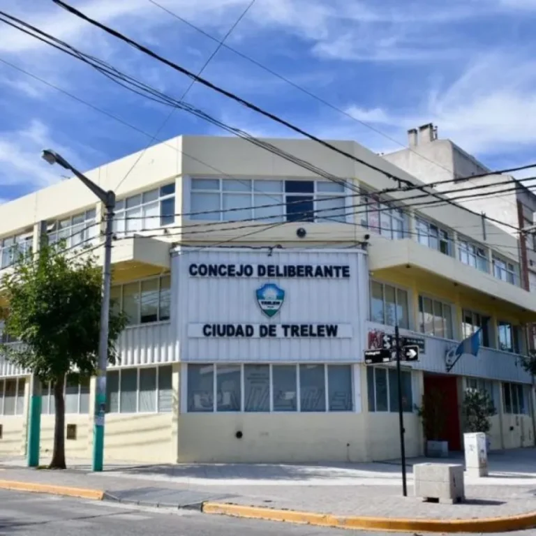 El Concejo de Trelew trata paquete de medidas clave para la gestión de Merino