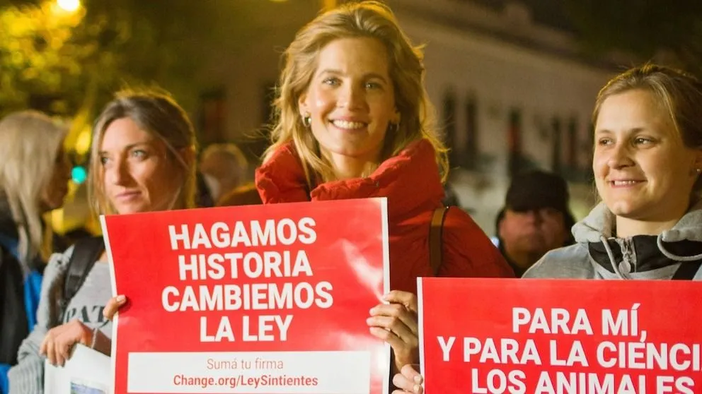 El Congreso debatirá el reconocimiento de animales como sujetos de derecho